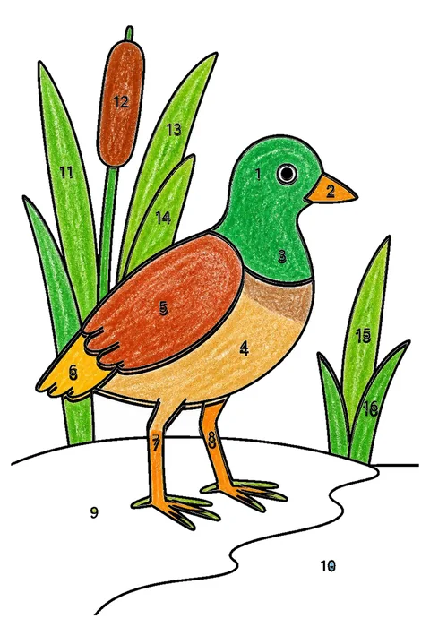 Completed crayon-colored example of the Duckling coloring page
