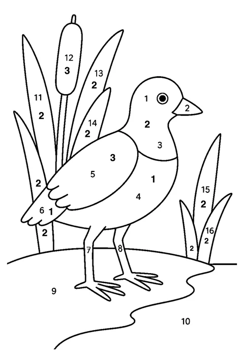 Duckling coloring page with numbered areas and a color key for color by number