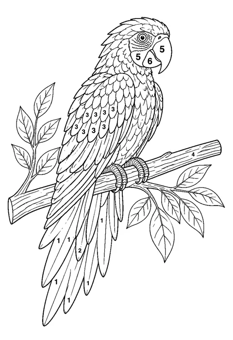 Parrot on a branch coloring page with numbered areas and a color key for color by number