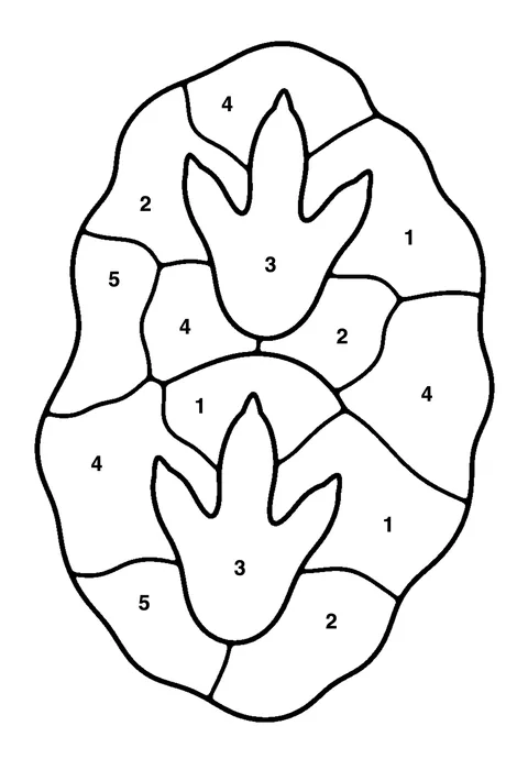 Dinosaur footprints coloring page with numbered areas and a color key for color by number
