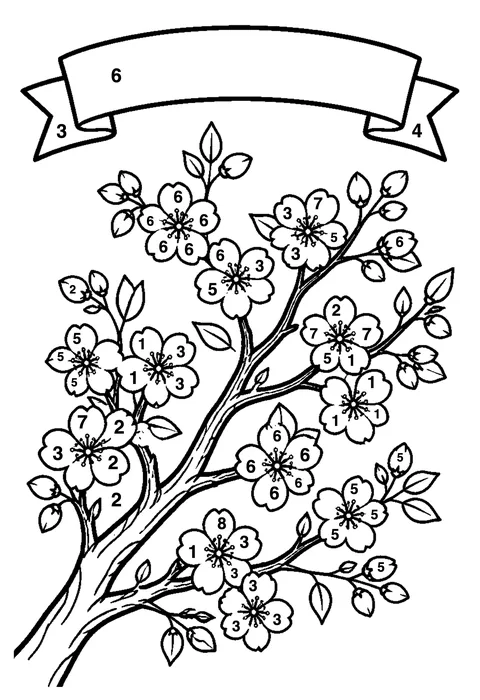 Cherry blossom branch coloring page with numbered areas and a color key for color by number