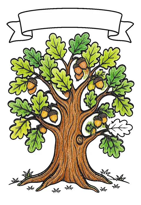 Completed crayon-colored example of the Oak tree with acorns coloring page