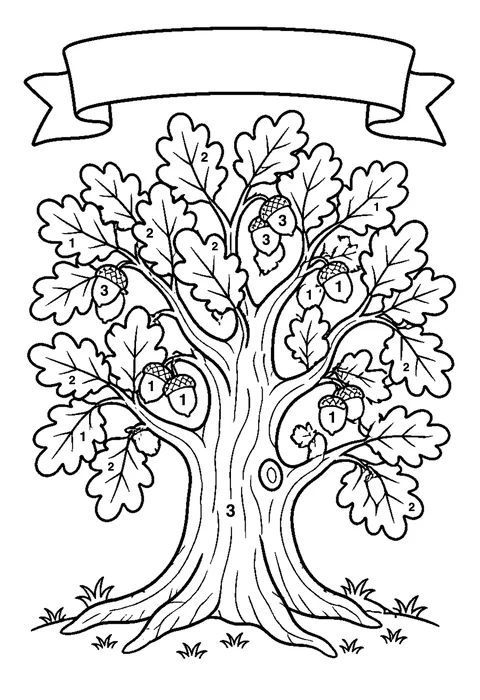 Oak tree with acorns coloring page with numbered areas and a color key for color by number