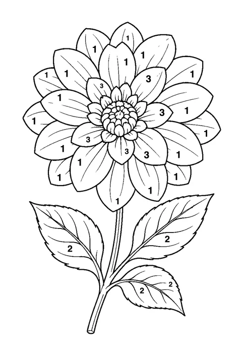 Rose with leaves coloring page with numbered areas and a color key for color by number