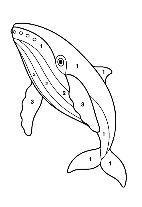 Humpback whale coloring page with numbered areas and a color key for color by number