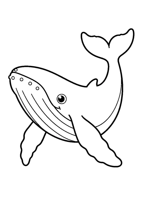 Line drawing of a humpback whale from the side with long flippers, a notched tail and a spout above.