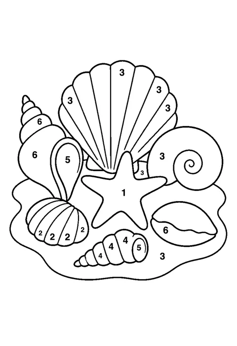 Seashell collection coloring page with numbered areas and a color key for color by number