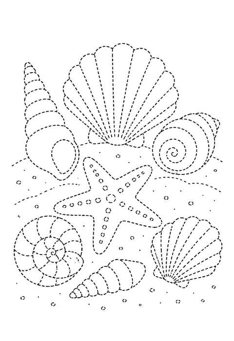 Tracing outline of six different seashells arranged in two rows, drawn in dashed guide lines.