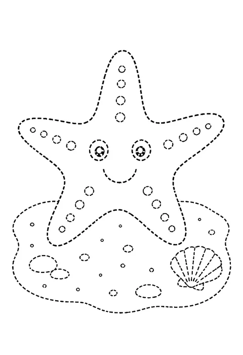 Tracing outline of a five-armed starfish on rippled sand, drawn in dashed lines with dotted texture.