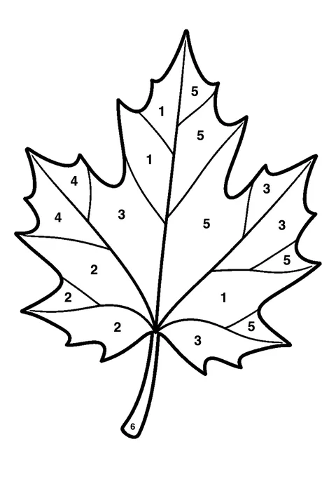 Autumn maple leaves coloring page with numbered areas and a color key for color by number