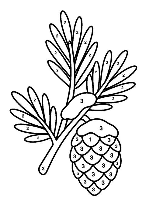 Winter pine branch coloring page with numbered areas and a color key for color by number