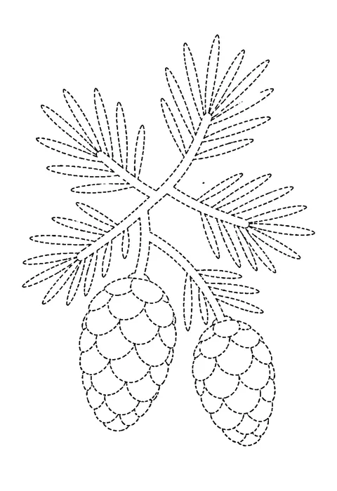 Tracing outline of a pine branch with two cones, drawn in dotted lines.