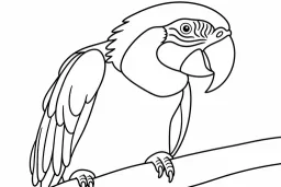 Coloring page of a parrot